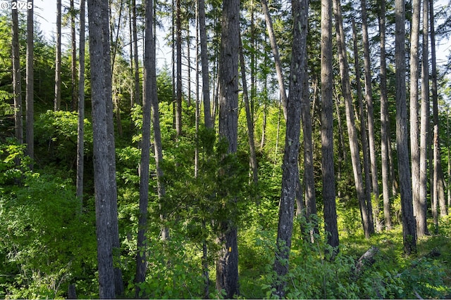 Green Valley Rd, Oakland, OR 97462