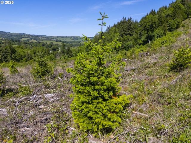 Green Valley Rd, Oakland, OR 97462