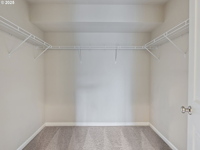 spacious closet with carpet flooring