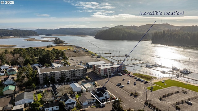 bird's eye view with a water view