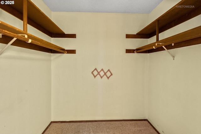 spacious closet with carpet flooring