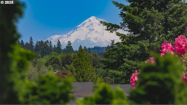 mountain view featuring a forest