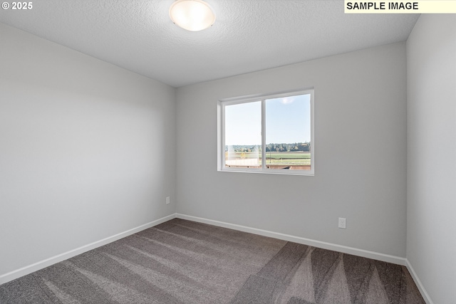 spare room with a textured ceiling, carpet floors, and baseboards