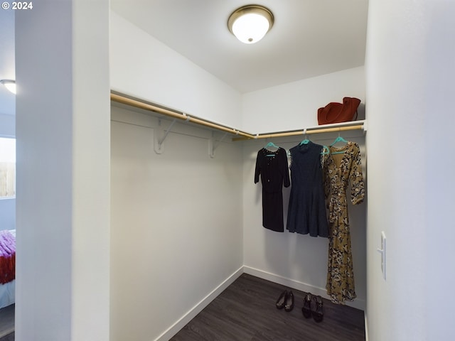 spacious closet featuring dark wood finished floors