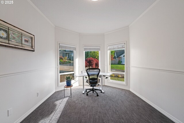 office area featuring crown molding, baseboards, and carpet flooring