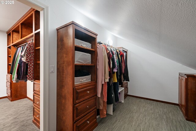 spacious closet featuring carpet floors