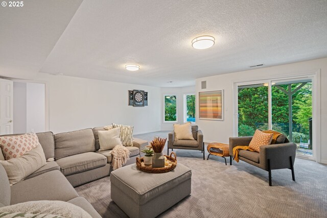 living room featuring carpet flooring and a textured ceiling