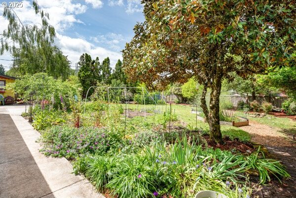 855 E 39th Ave, Eugene, OR 97405 - view of yard with a vegetable garden