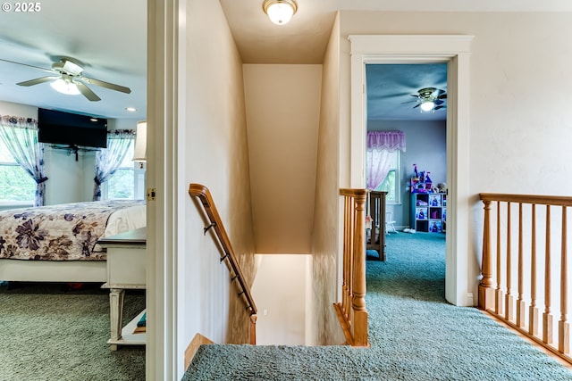 hall with carpet and a healthy amount of sunlight