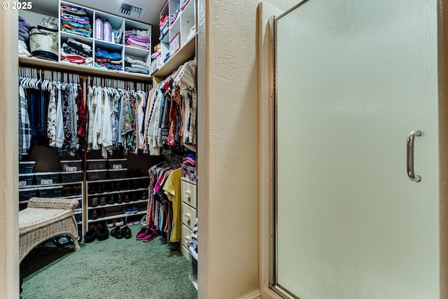 walk in closet with carpet floors