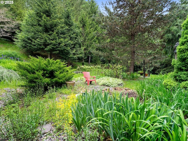 33901 Merrill Creek Rd, Deer Island, OR 97054 - view of yard featuring a wooded view