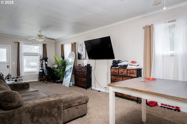 living room featuring ceiling fan, carpet, and ornamental molding