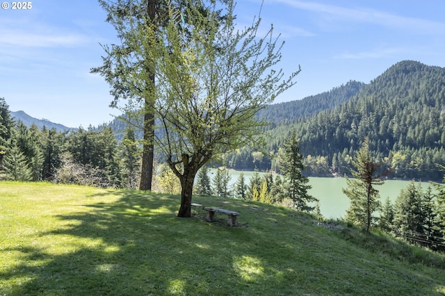 49867 Hills Creek Rd, Oakridge, OR 97463 - exterior space featuring a water and mountain view and a forest view