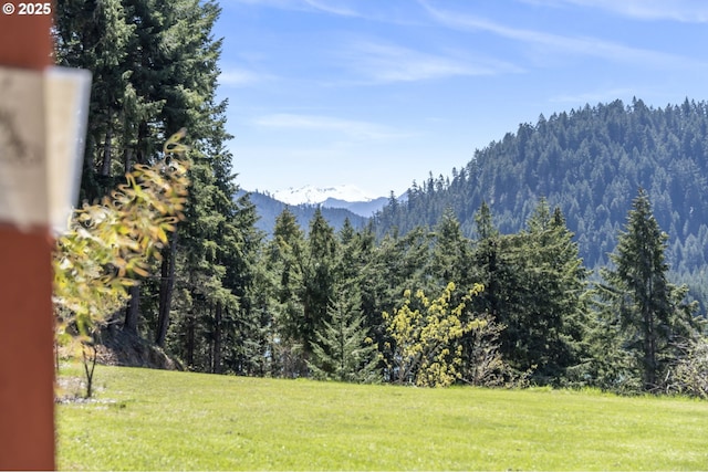 49867 Hills Creek Rd, Oakridge, OR 97463 - mountain view with a wooded view