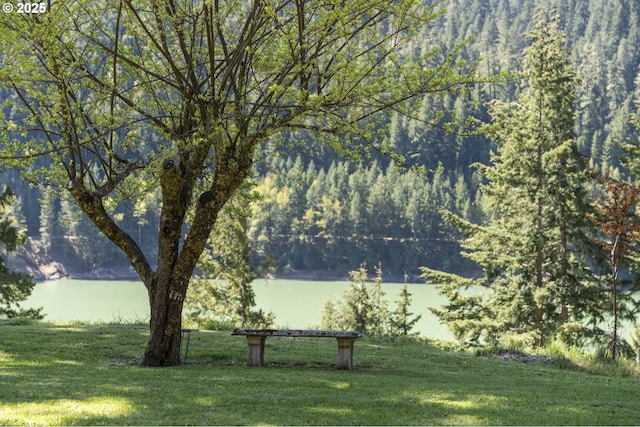49867 Hills Creek Rd, Oakridge, OR 97463 - view of yard featuring a water view and a view of trees