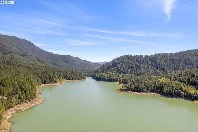 49867 Hills Creek Rd, Oakridge, OR 97463 - water view featuring a wooded view and a mountain view