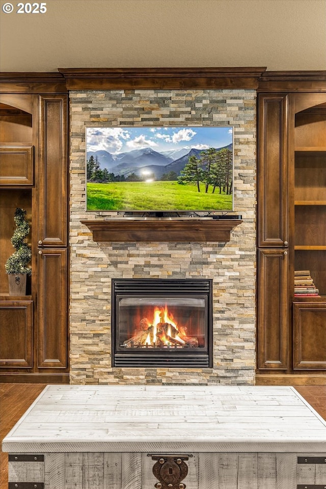 interior details with a stone fireplace