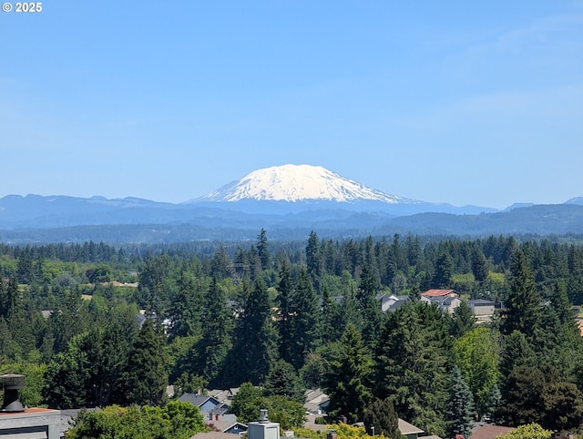 15911 NE 29th Ave, Ridgefield, WA 98642 - view of mountain backdrop featuring a heavily wooded area