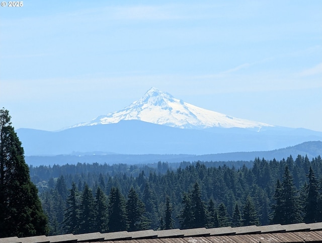 15911 NE 29th Ave, Ridgefield, WA 98642 - view of mountain background featuring a forest
