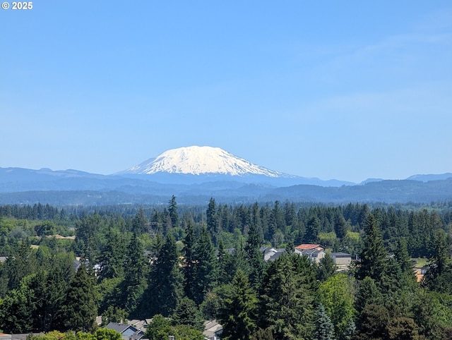 15911 NE 29th Ave, Ridgefield, WA 98642 - view of mountain backdrop with a forest