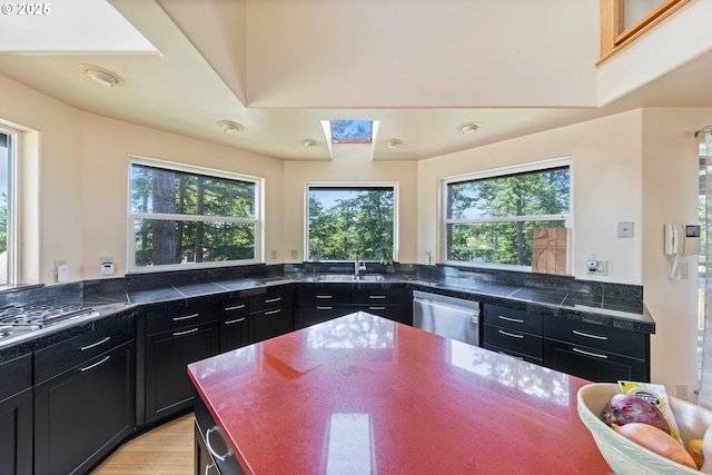 34700 Hill St, Pacific City, OR 97135 - kitchen featuring stainless steel appliances, a sink, a skylight, dark cabinets, and plenty of natural light