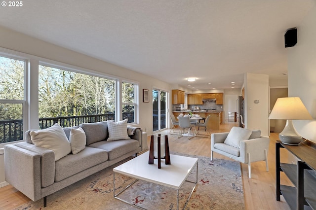 living room with light hardwood / wood-style flooring