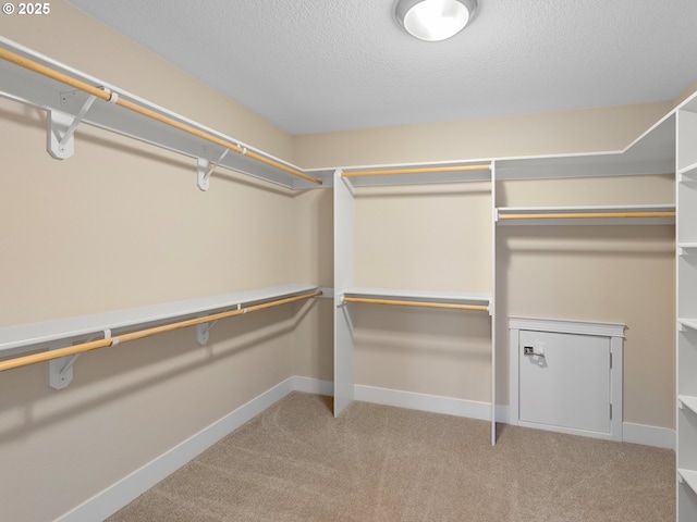 walk in closet with carpet floors