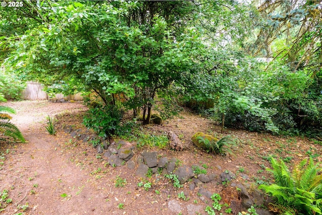761 Foothill Dr, Eugene, OR 97405 - view of yard