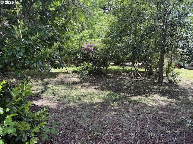 8270 SW Sorrento Rd, Beaverton, OR 97008 - view of yard