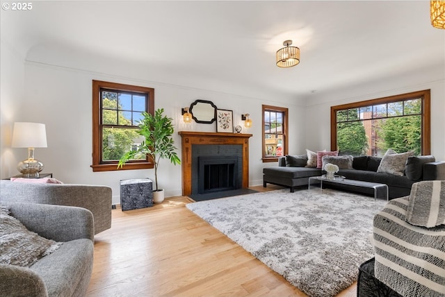 4004 N Montana Ave, Portland, OR 97227 - living room featuring plenty of natural light, light wood-style floors, and a fireplace with flush hearth