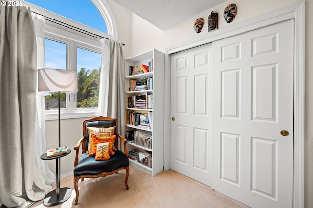 16165 NW Blueridge Dr, Beaverton, OR 97006 - living area with carpet and healthy amount of natural light