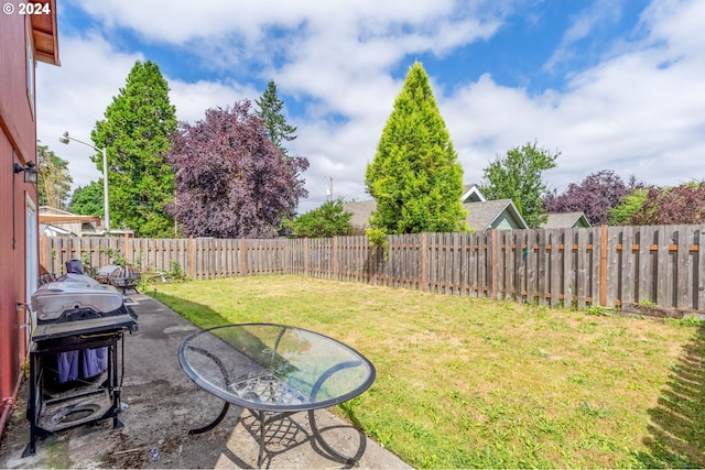 view of yard with a patio area