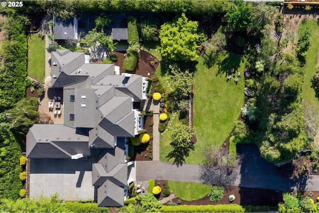 bird's eye view