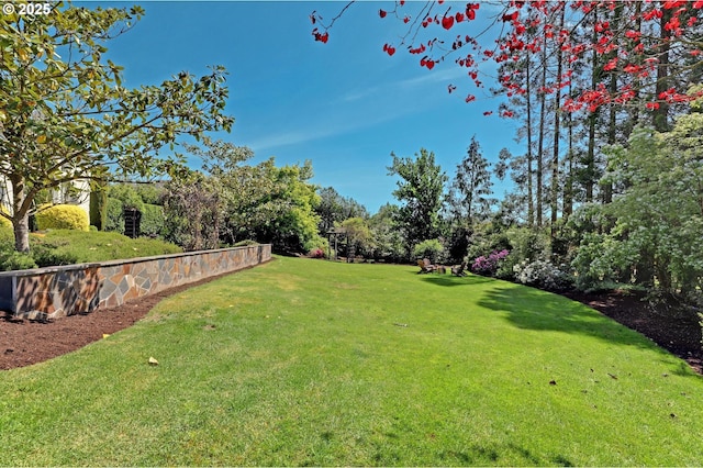 view of grassy yard with view of wooded area