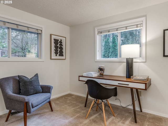 office with light carpet and a textured ceiling