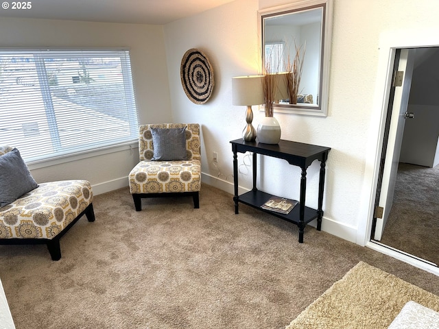 living area featuring baseboards and carpet flooring