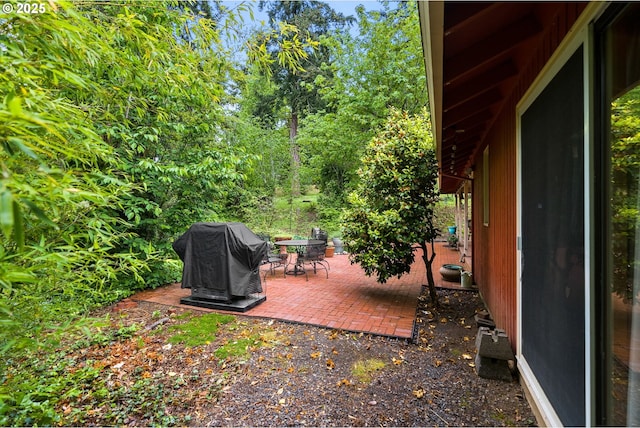 view of yard featuring a patio area