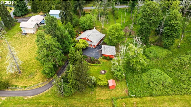 bird's eye view