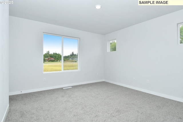 carpeted spare room featuring a wealth of natural light