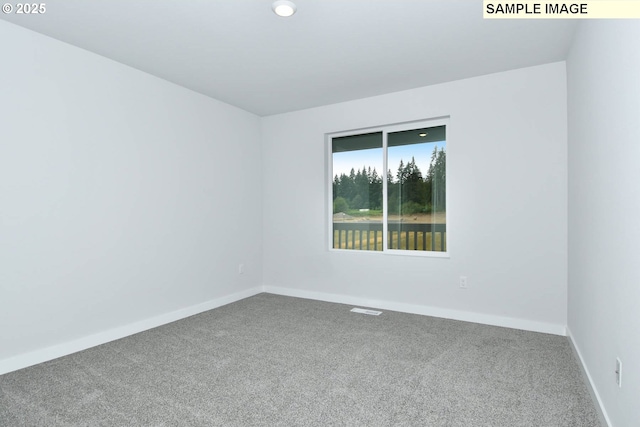 spare room featuring carpet floors