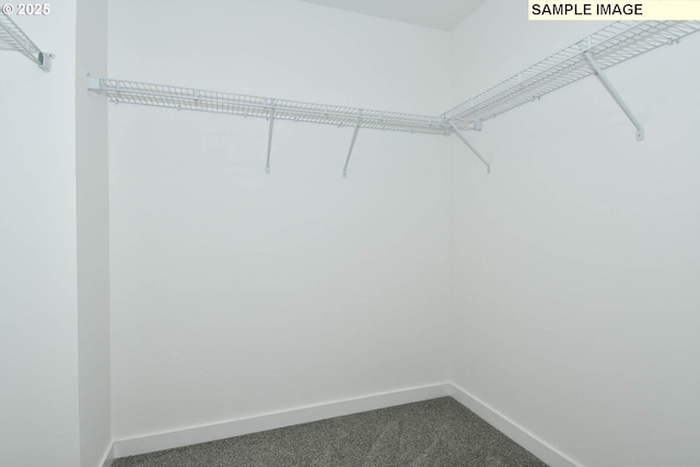 spacious closet featuring carpet flooring