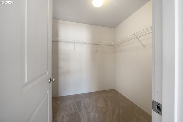 8512 NE 13th Pl, Vancouver, WA 98665 - walk in closet with carpet floors