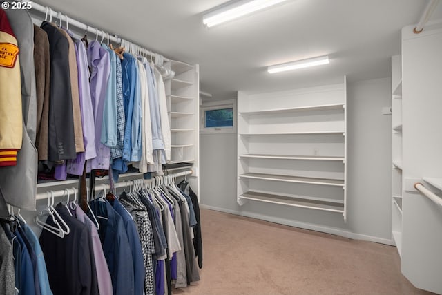 7414 N Chautauqua Blvd, Portland, OR 97217 - walk in closet with carpet