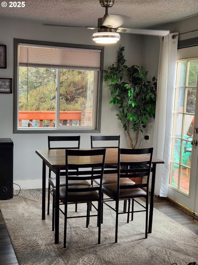 dining room with a healthy amount of sunlight, a textured ceiling, and wood-type flooring