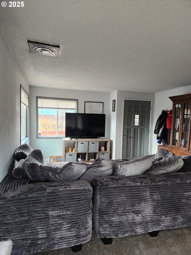 living room featuring a textured ceiling