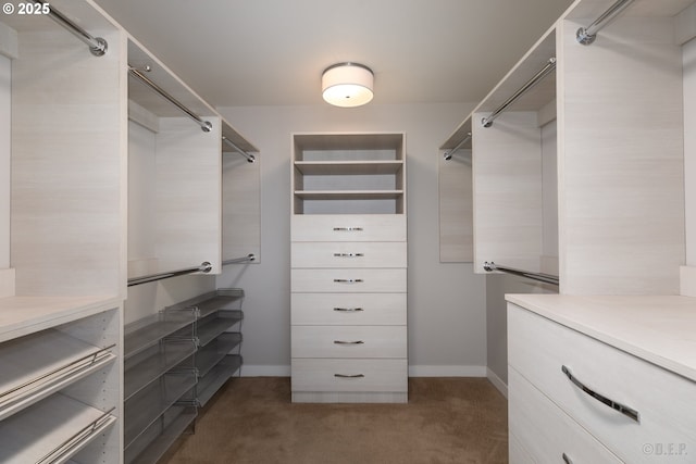 spacious closet featuring dark colored carpet