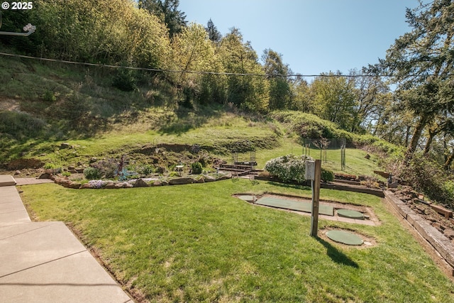view of community featuring a lawn