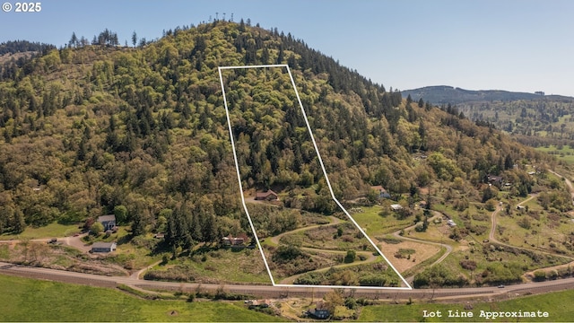 aerial view with a forest view and a mountain view
