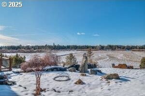 view of snowy yard