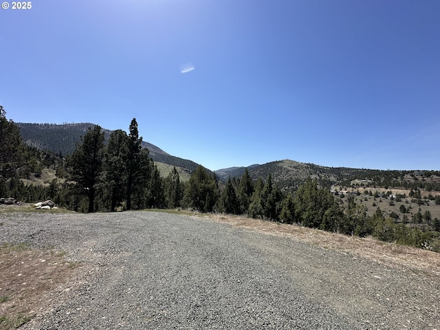 view of road with a mountain view